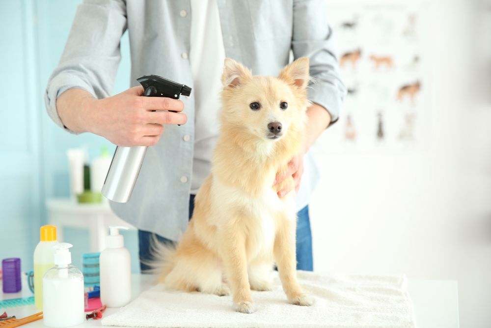 Pet Grooming